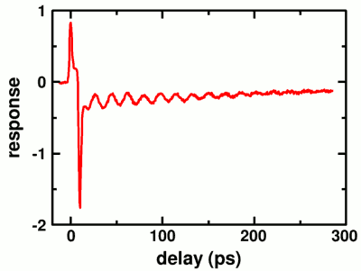 optical response of a single 50 nm gold particle