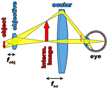 image formation in an optical microscope 