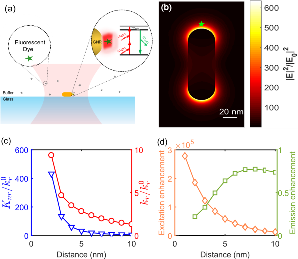 Plasmonic enhancement of singlemolecule fluorescence using gold